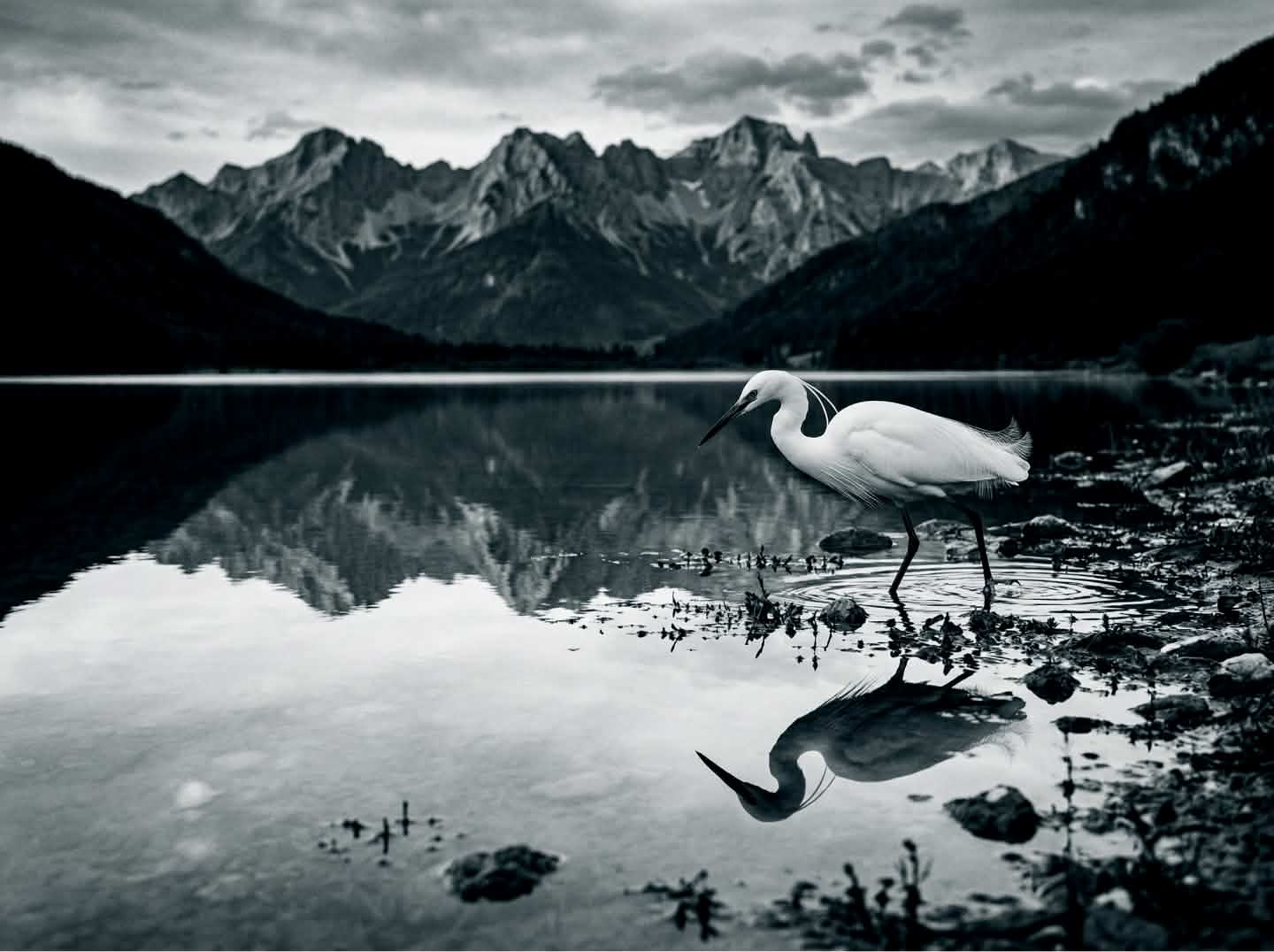 AI transformation from experiment to enterprise