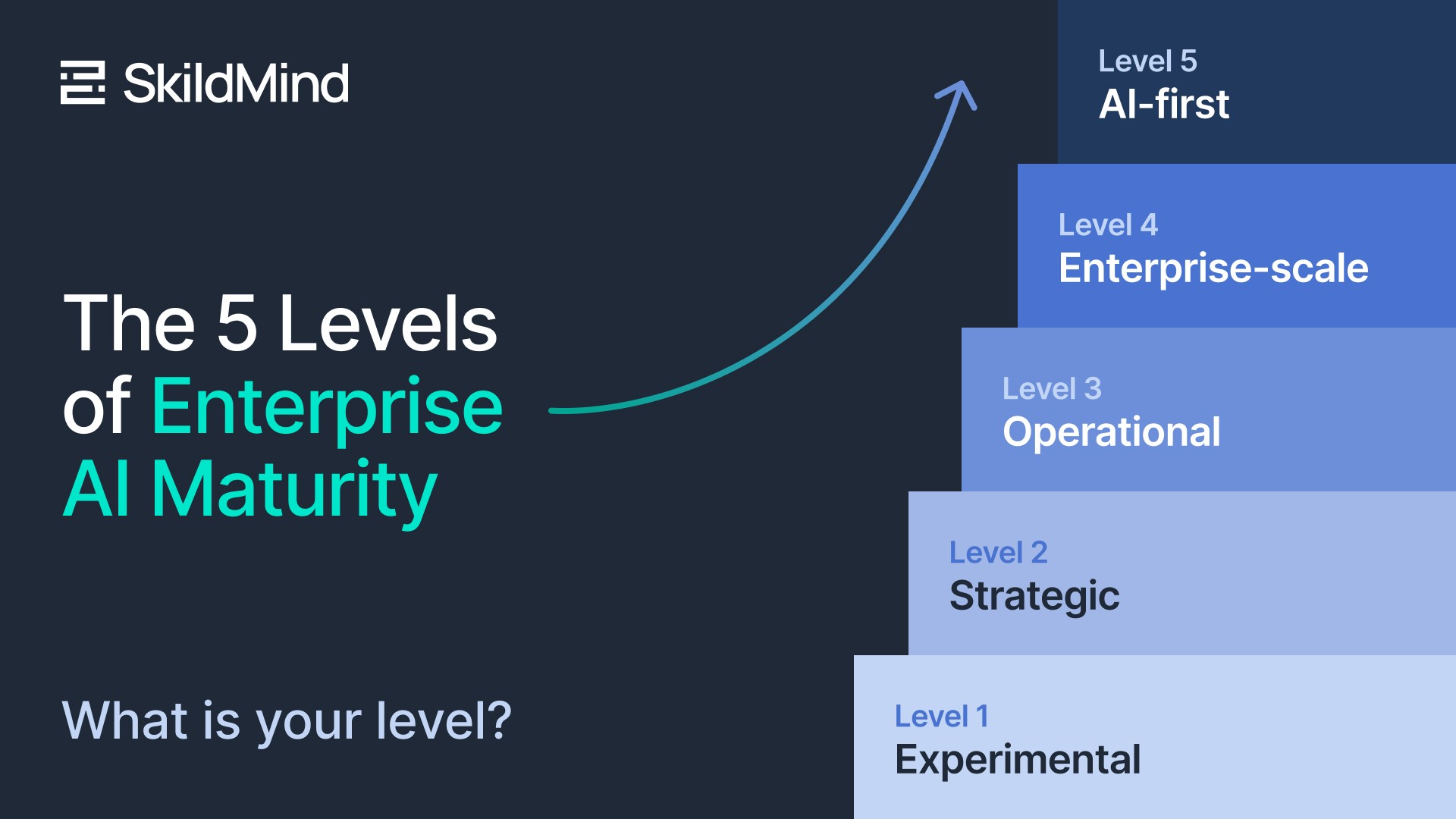 The 5 Levels of Enterprise AI Maturity